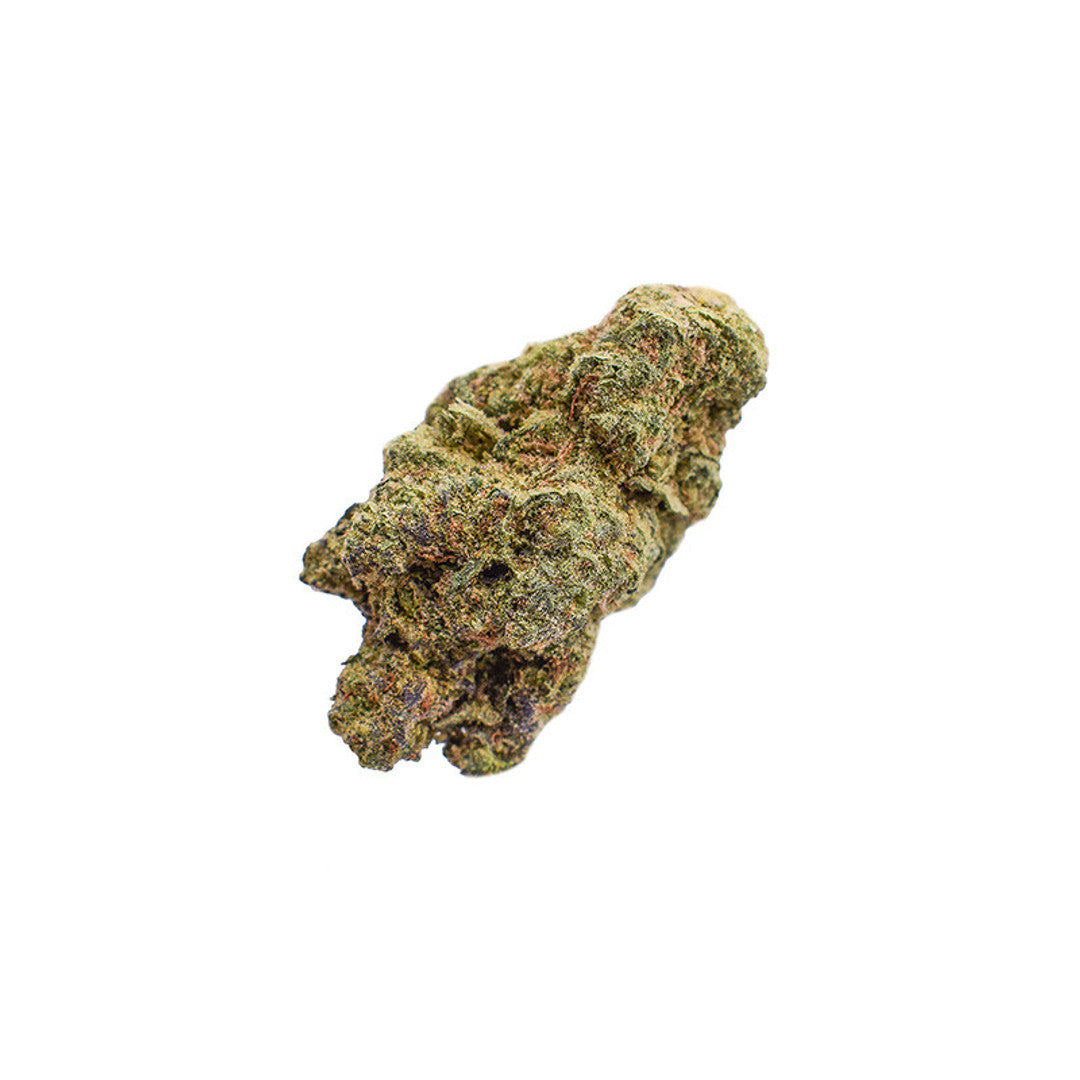 Koi | Malawi Gold 3.5G | Gold THCA Flower Sativa