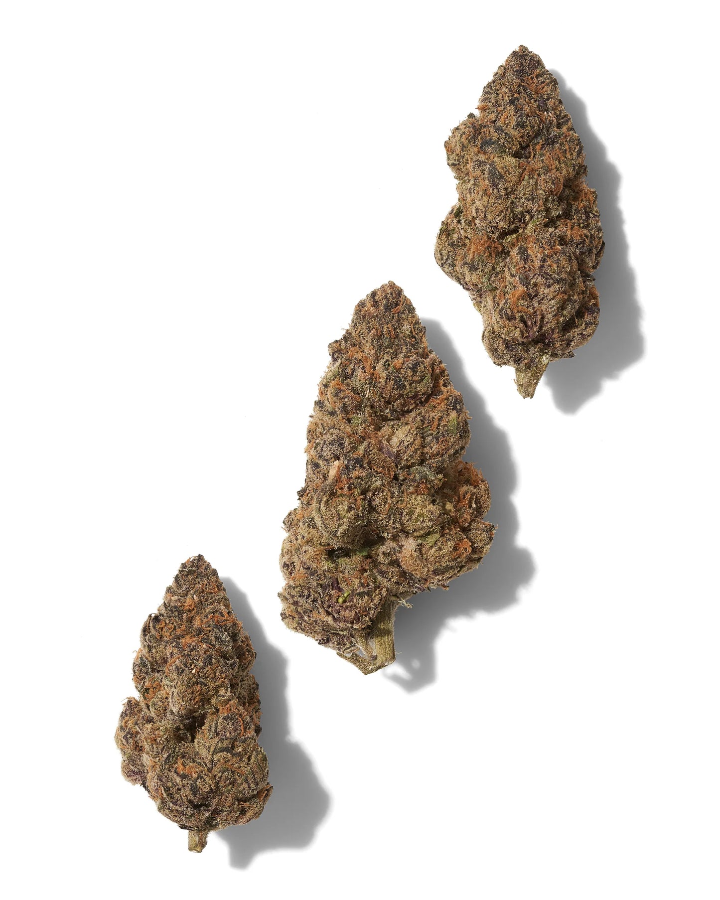 Black Tie | Apricot Mimosa 1G Preroll | Exotic THCA Flower