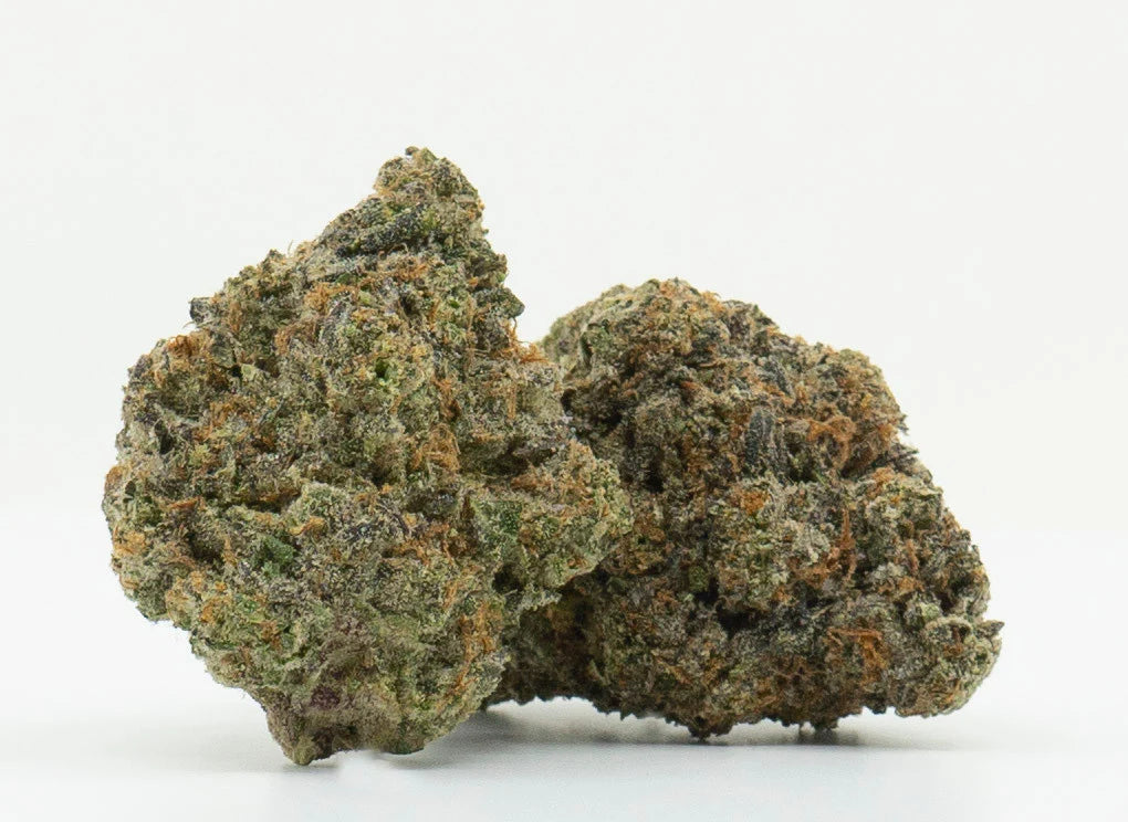 Black Tie | Archive Runtz | 7G Exotic THCA Flower