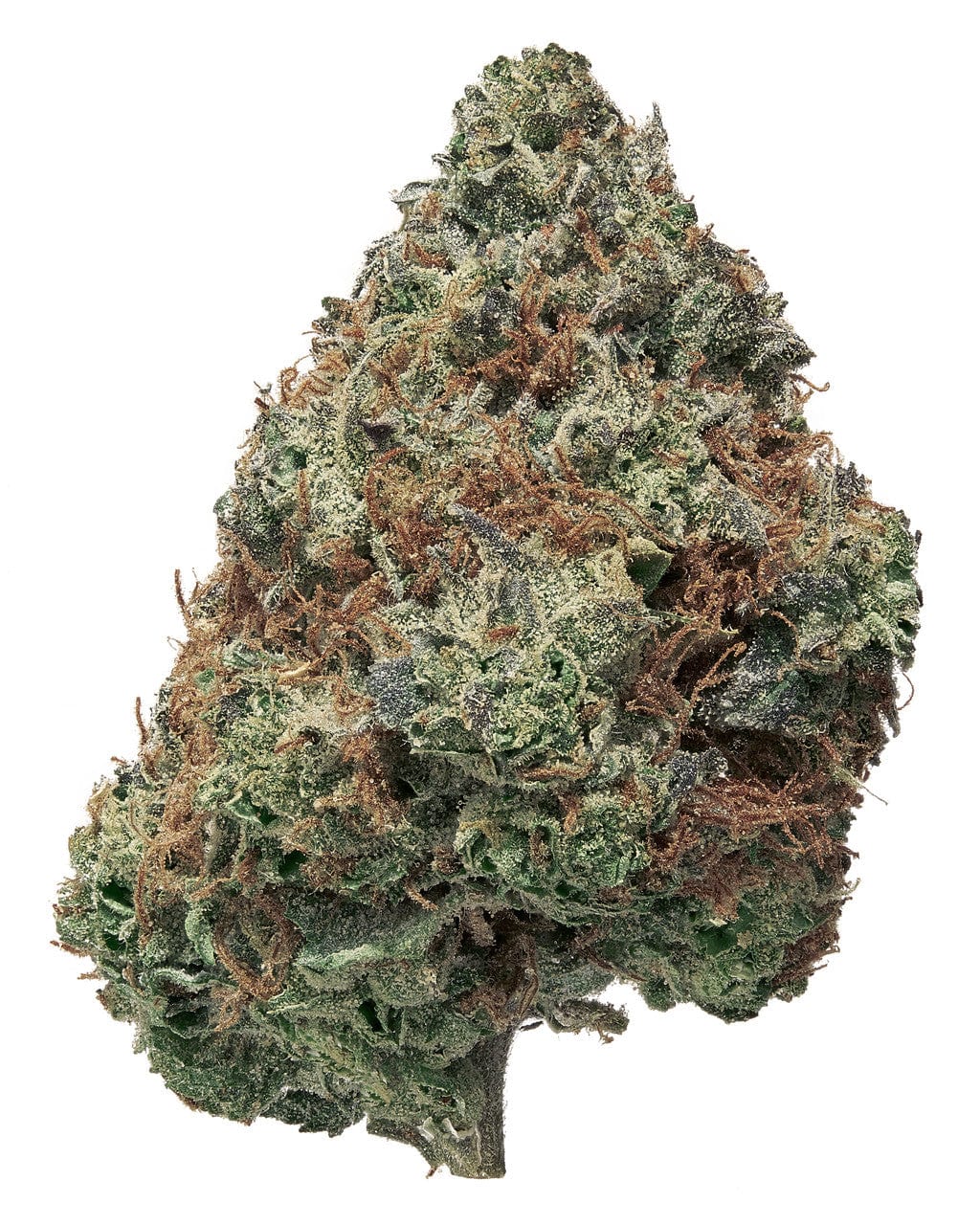 Black Tie | Strawberry Strudel 3.5G | Exotic THCA Flower