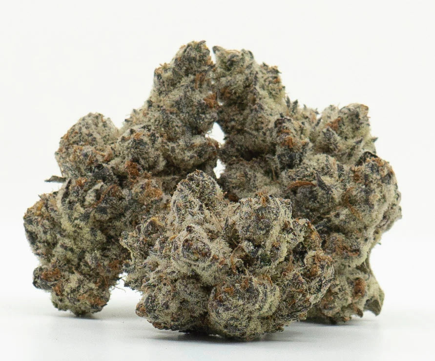 Black Tie | White Truffle 7G | Exotic THCA Flower