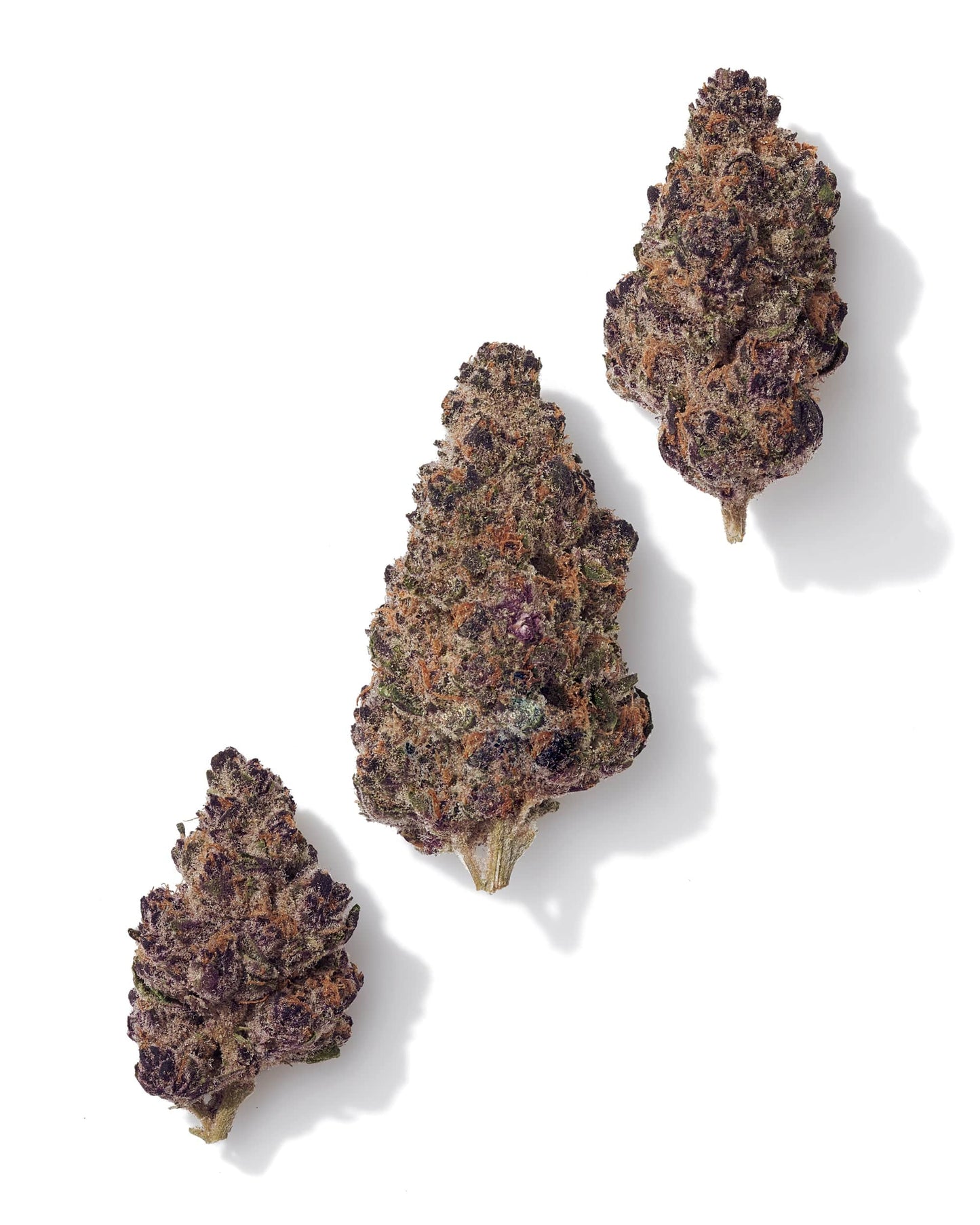 Black Tie | Blockberry 1G | Exotic THCA Flower