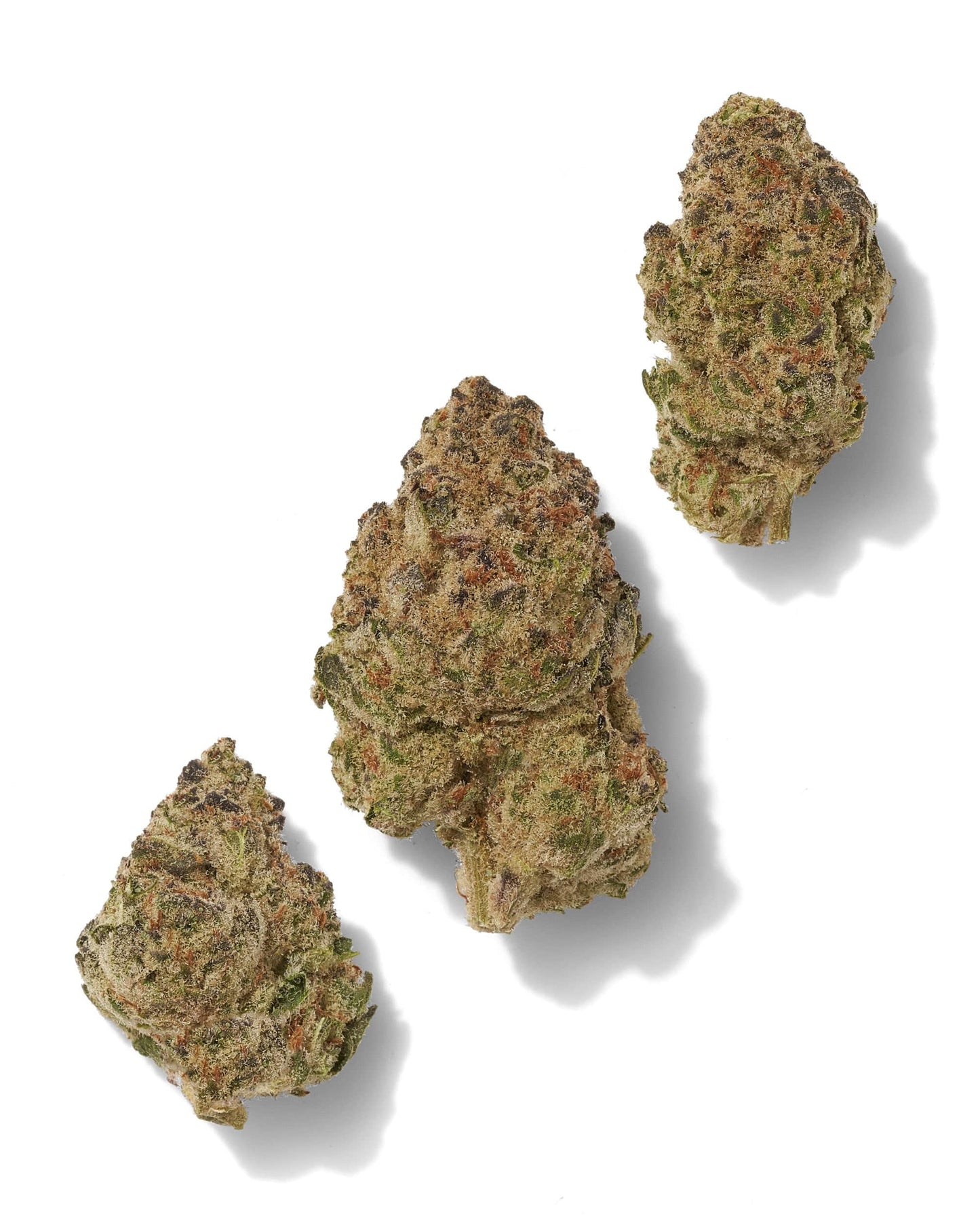 Black Tie | Bubble Gum OG 29g (1oz) | Indoor THCA Flower | Hybrid