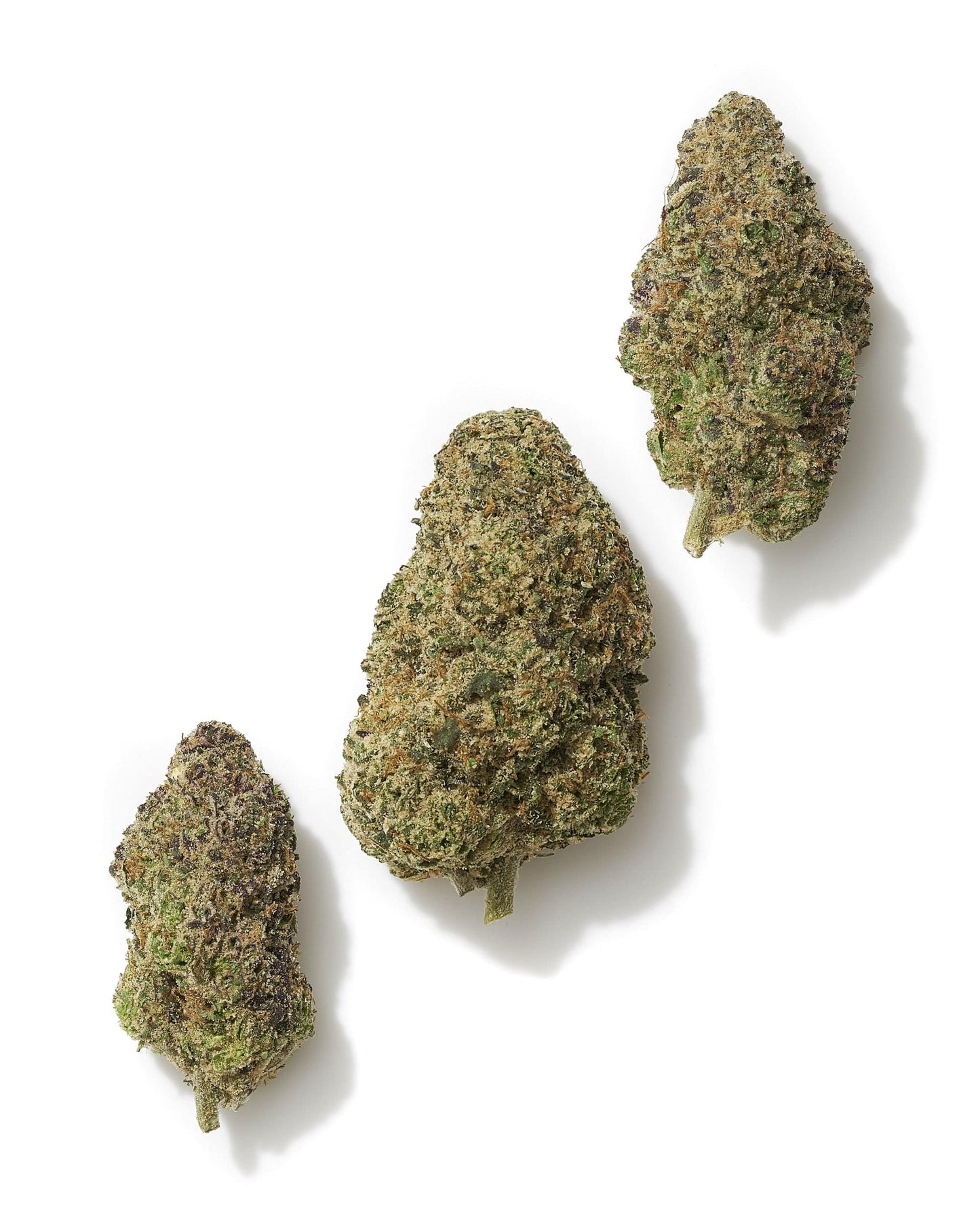 Black Tie | Pink Gummies 28G (1oz) | Indoor THCA Flower