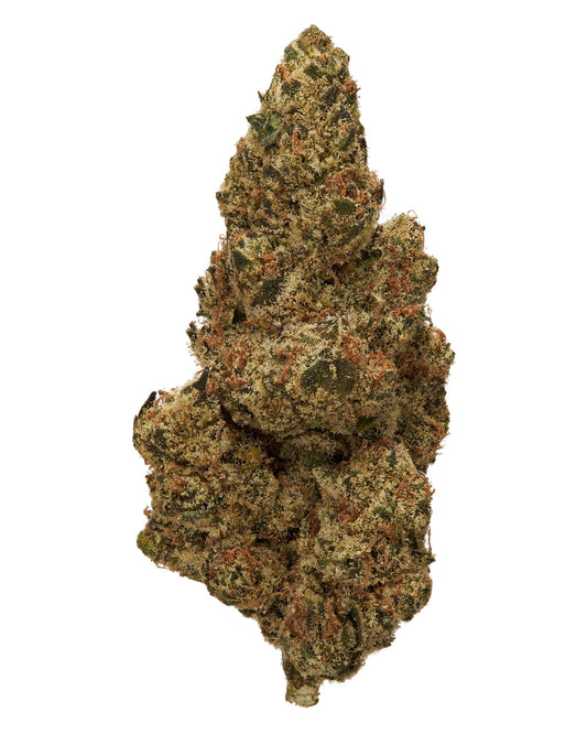 Black Tie | Blue Dream 28G (1 oz) | THCA Flower