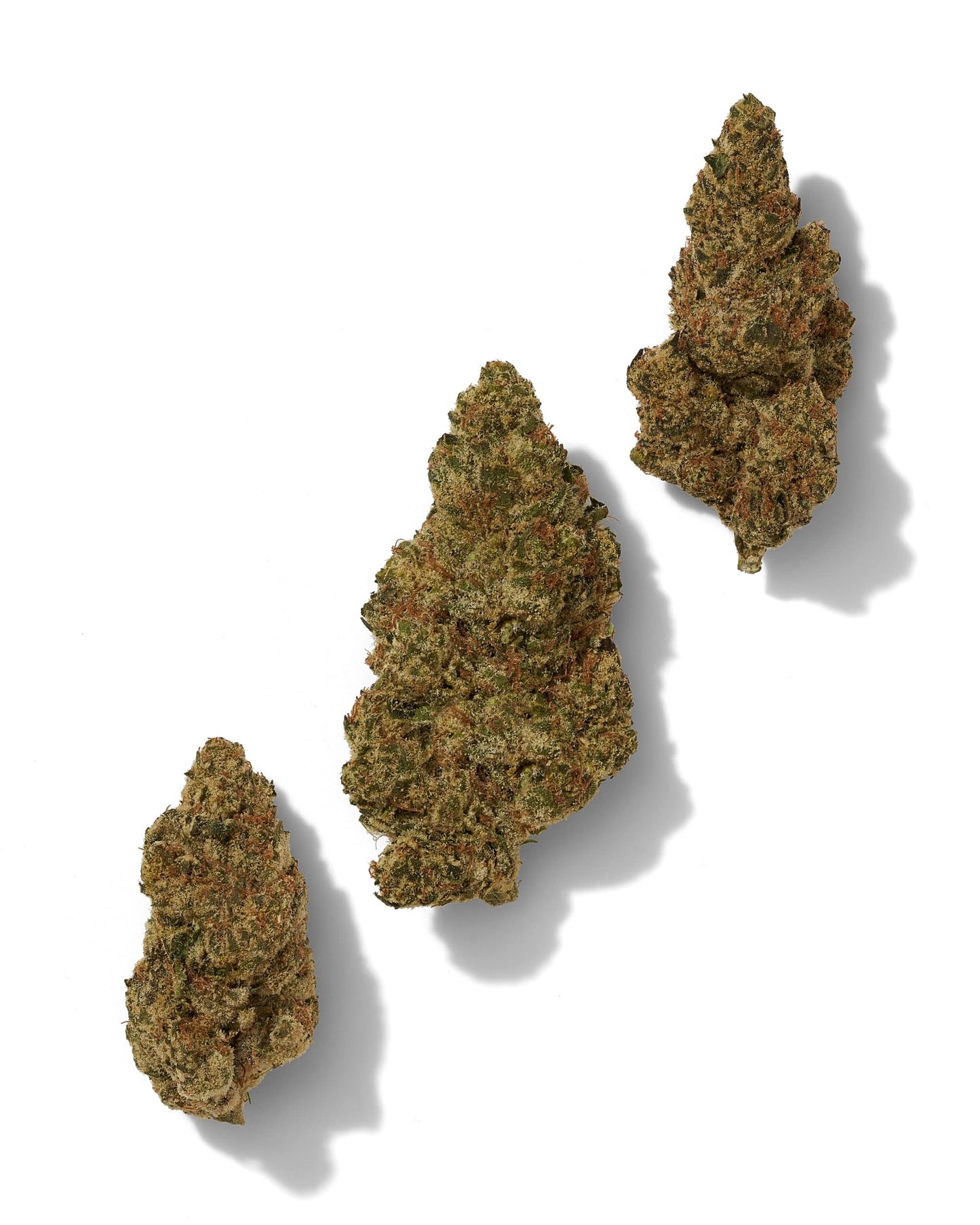 Black Tie | Blue Dream 28G (1 oz) | THCA Flower