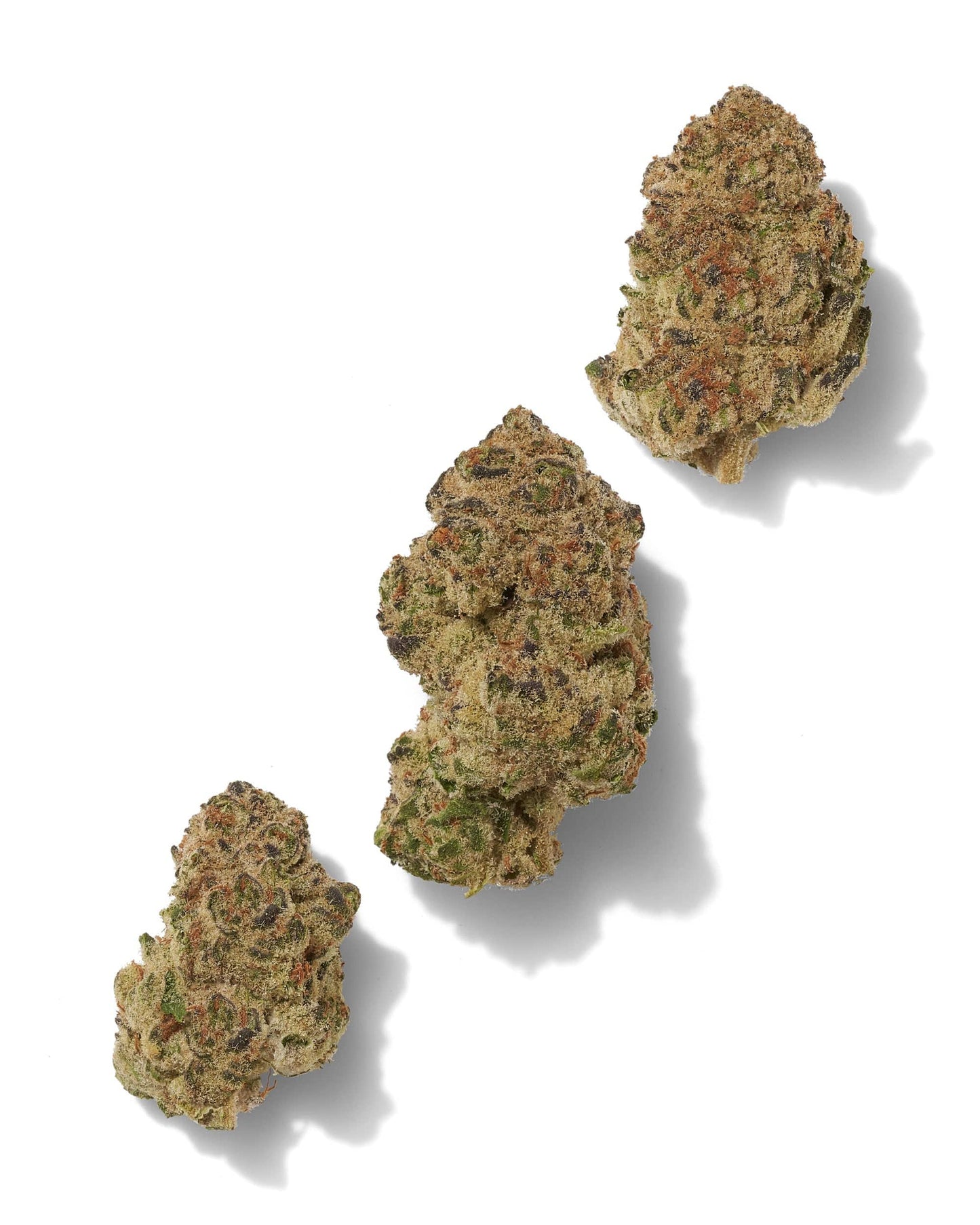 Black Tie | Strawberry Strudel 28G (1oz) | Indoor THCA Flower