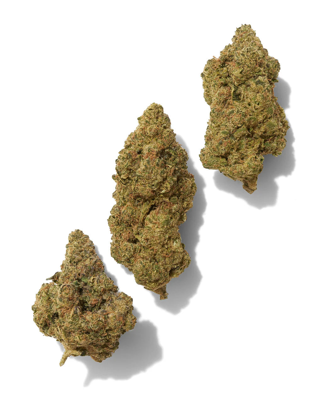 Black Tie | LEMON 1G Pre-Roll | Exotic THCA Flower